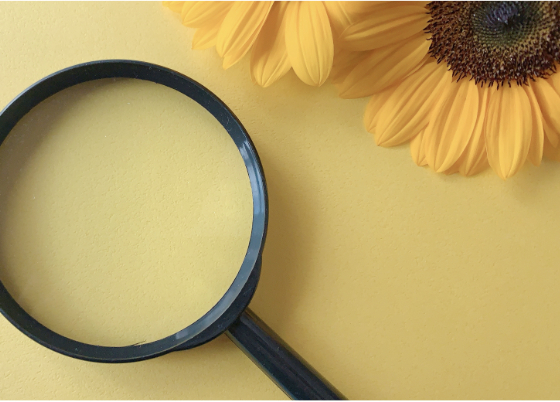 買取品の査定イメージ