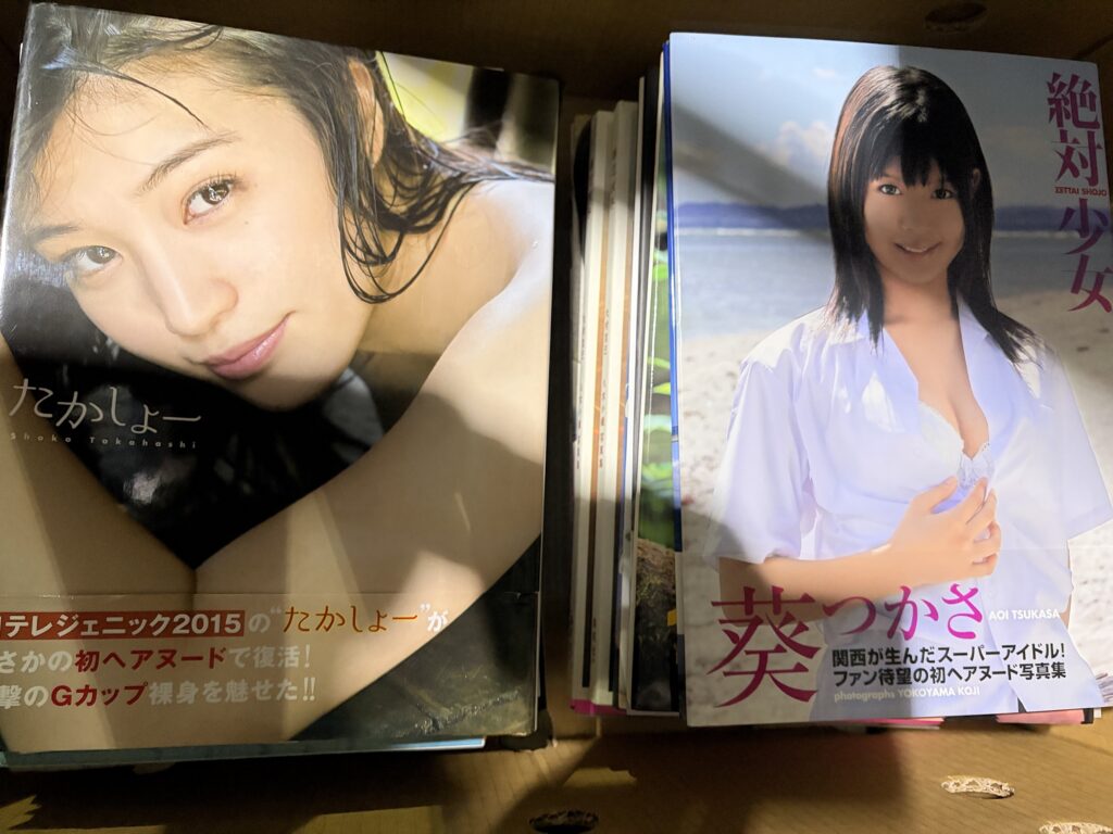 セクシー女優写真集高橋しょう子写真集他